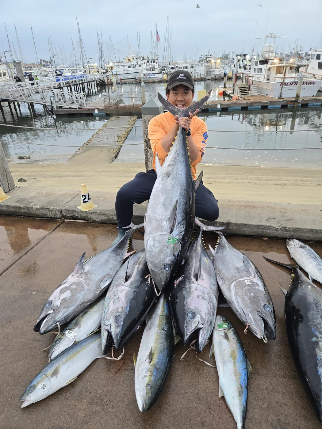 Hao2Fish angler at a San Diego dock with tuna and yellowtail after a fishing trip