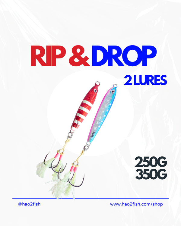 Rip & Drop Combo Tungsten Jigs (250g + 350g)
