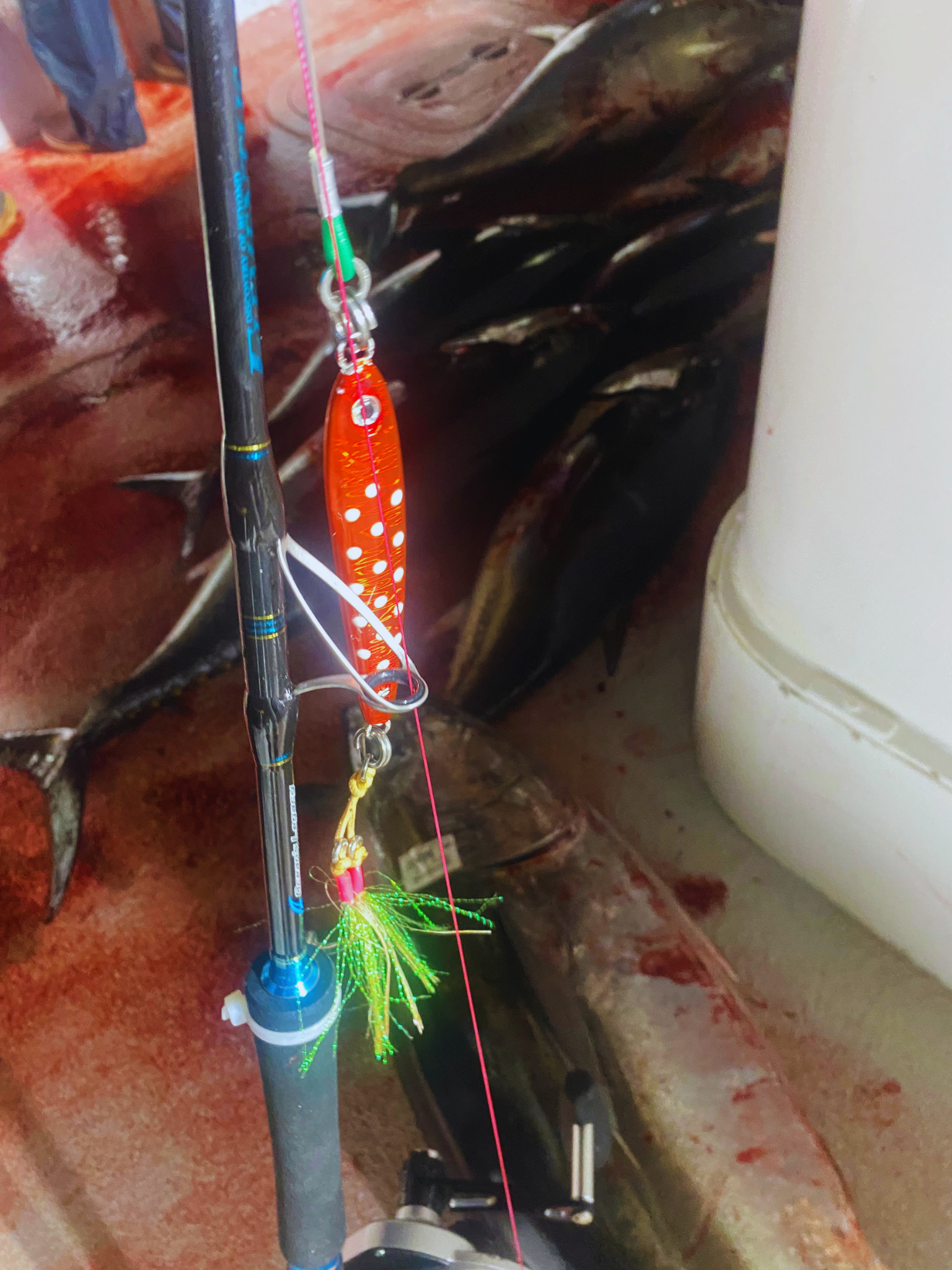 Moon Drop tungsten jig with caught bluefin tuna